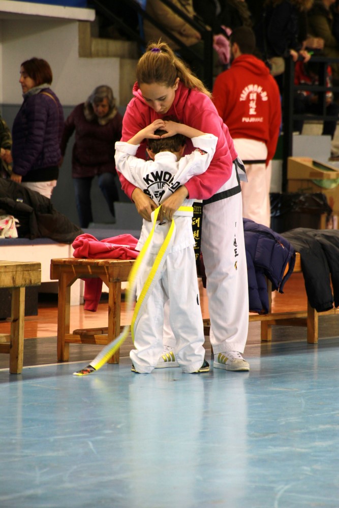Taekwondo Dic 2016 (17).jpg